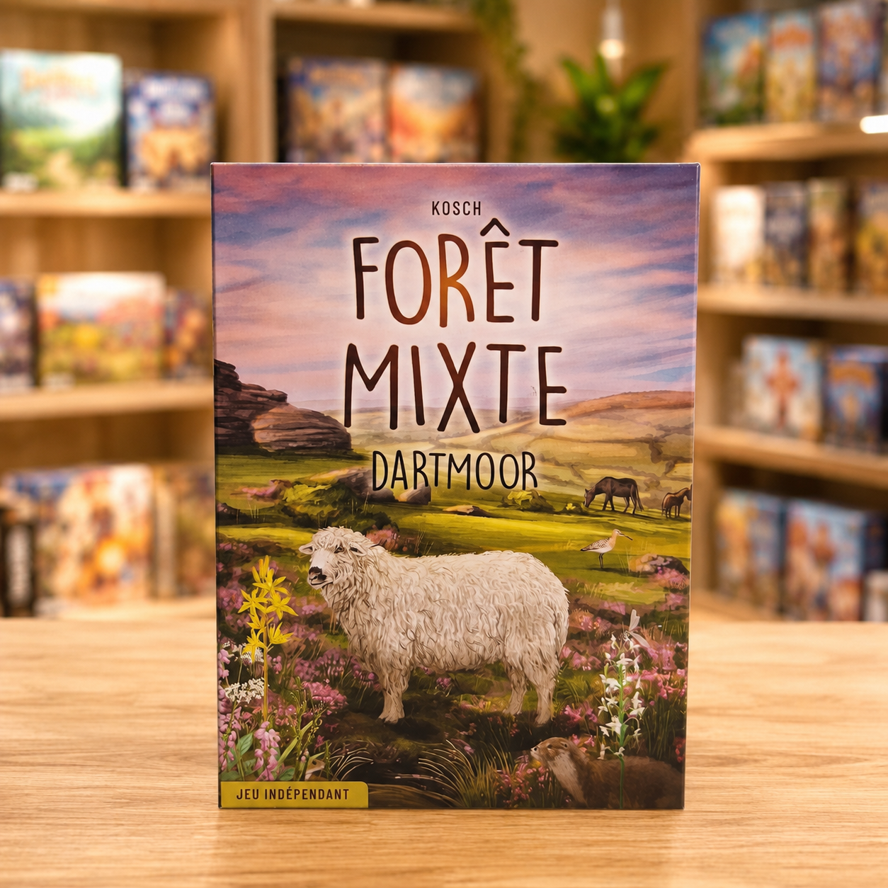 forêt mixte darmoor