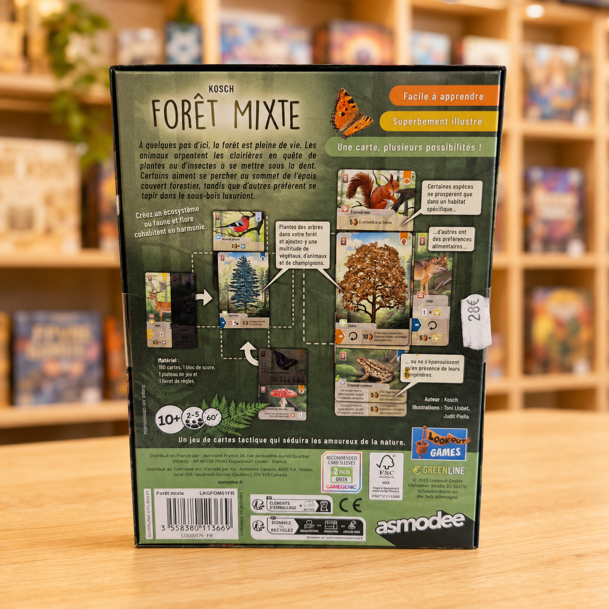 fôret mixte