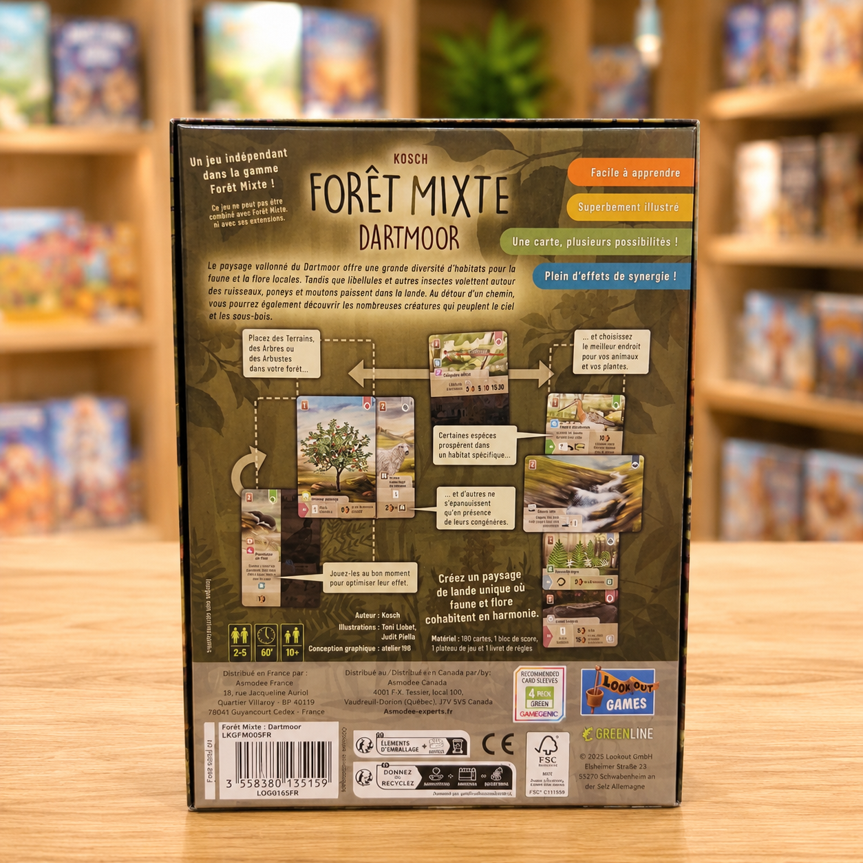 forêt mixte darmoor